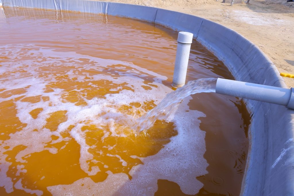 Orange, Beta-Carotene rich Dunaliella salina culture